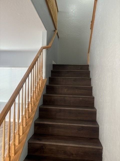 8116 Celina Hills Street - Photo 11