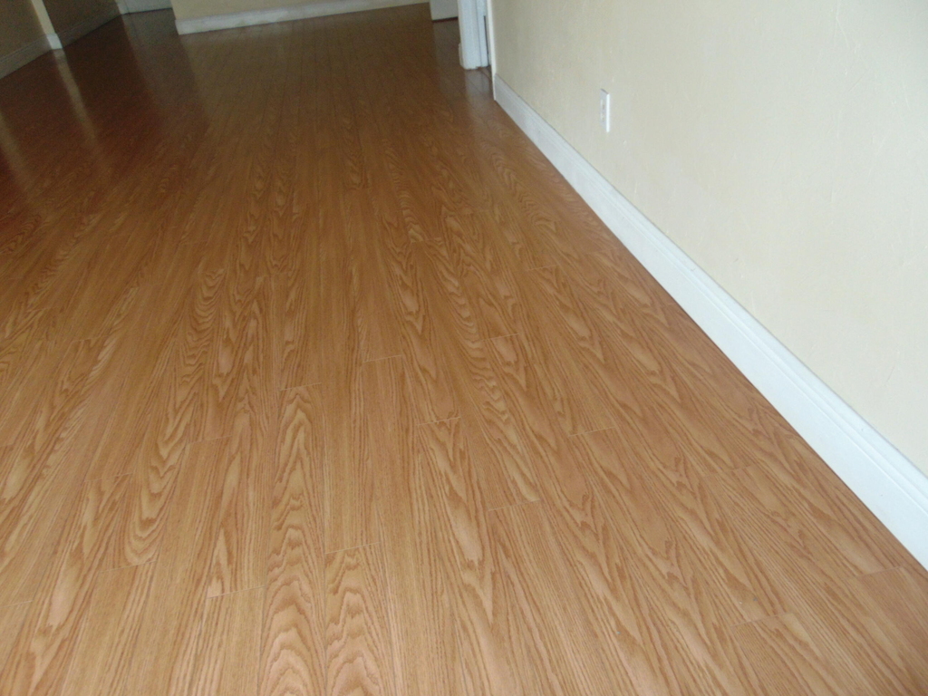 733 Se 1st Street - Photo 9
