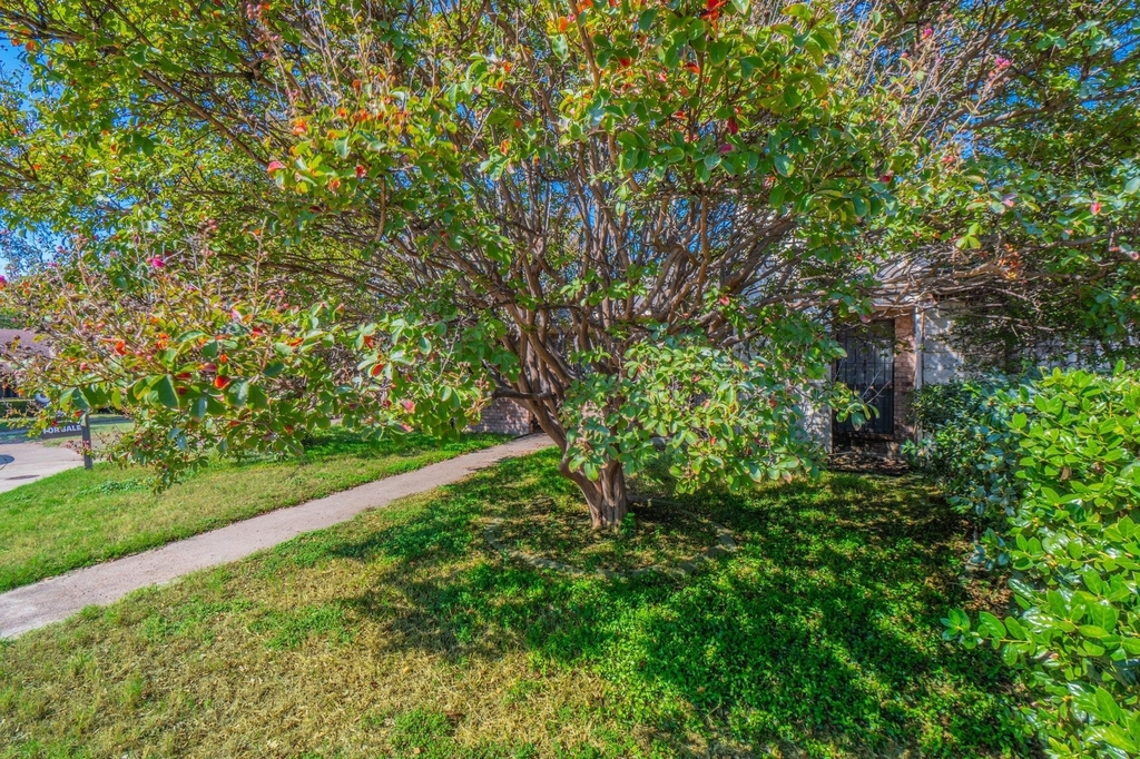 1515 Cherrycrest Street - Photo 23