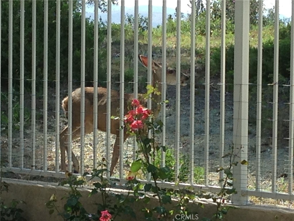 14 Calle Serra - Photo 35