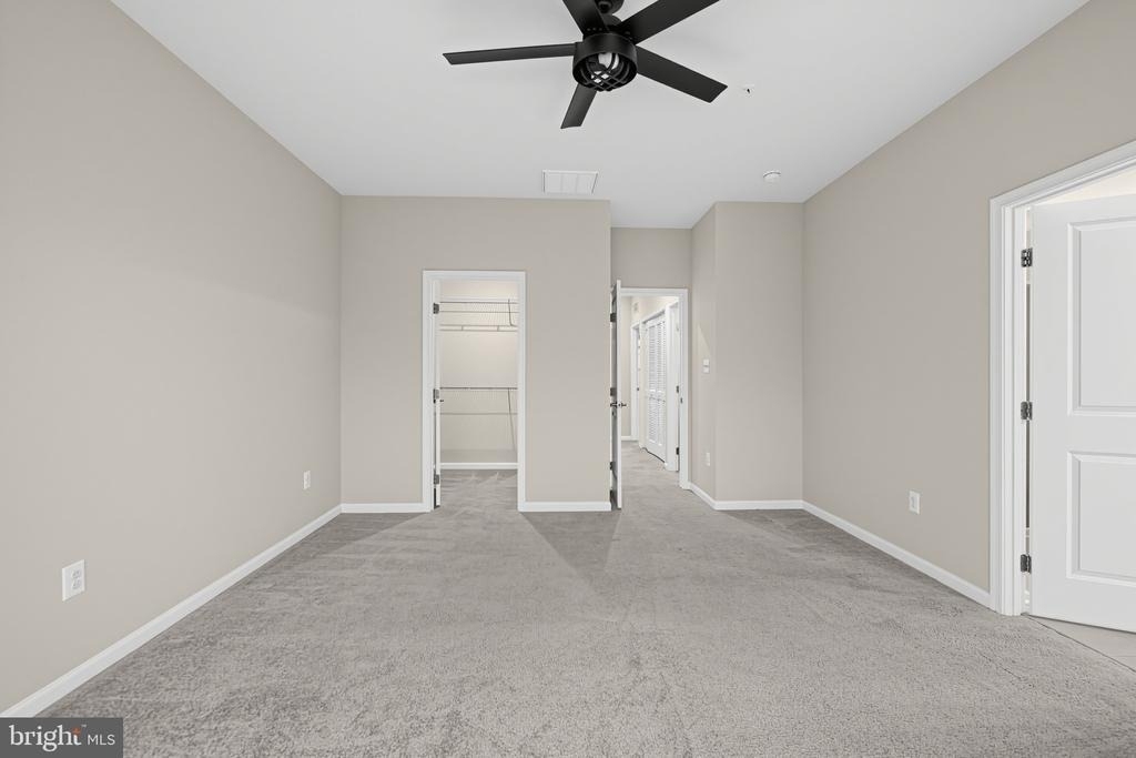 4446 Tulip Lane - Photo 11