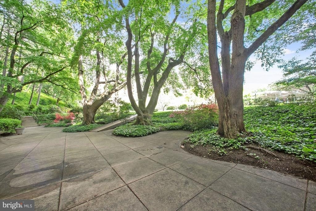 4201 Cathedral Avenue Nw - Photo 55