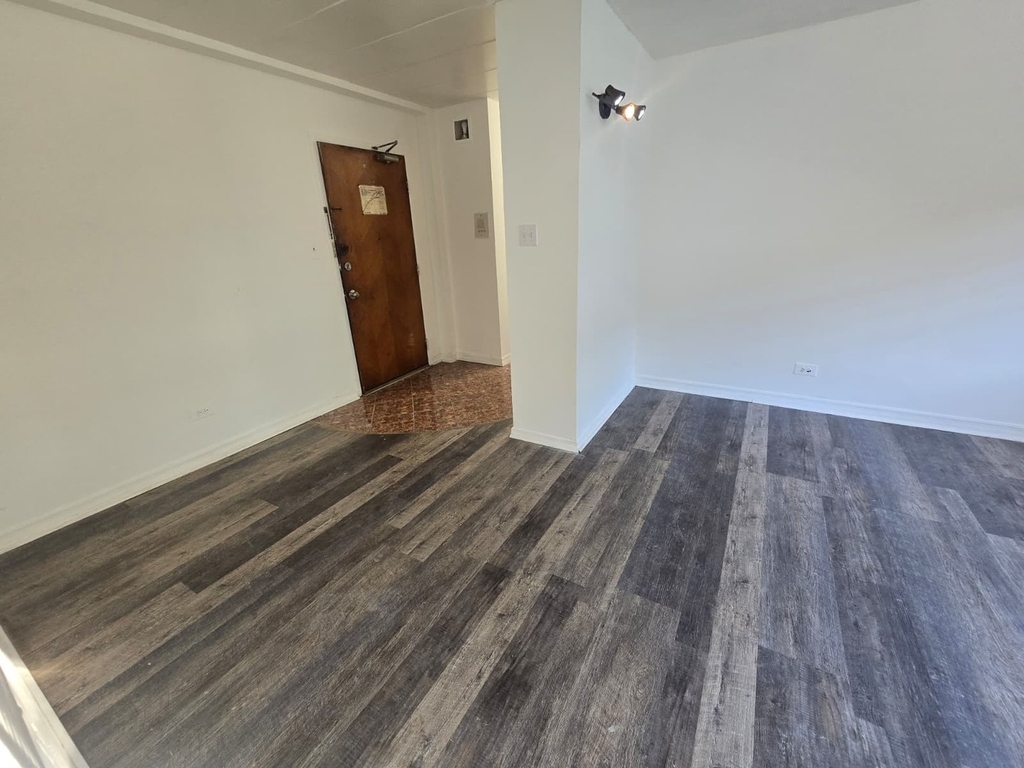 6161 N Hoyne Avenue - Photo 7