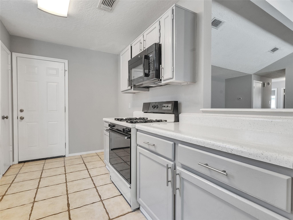 24006 Spring Gum Drive - Photo 9