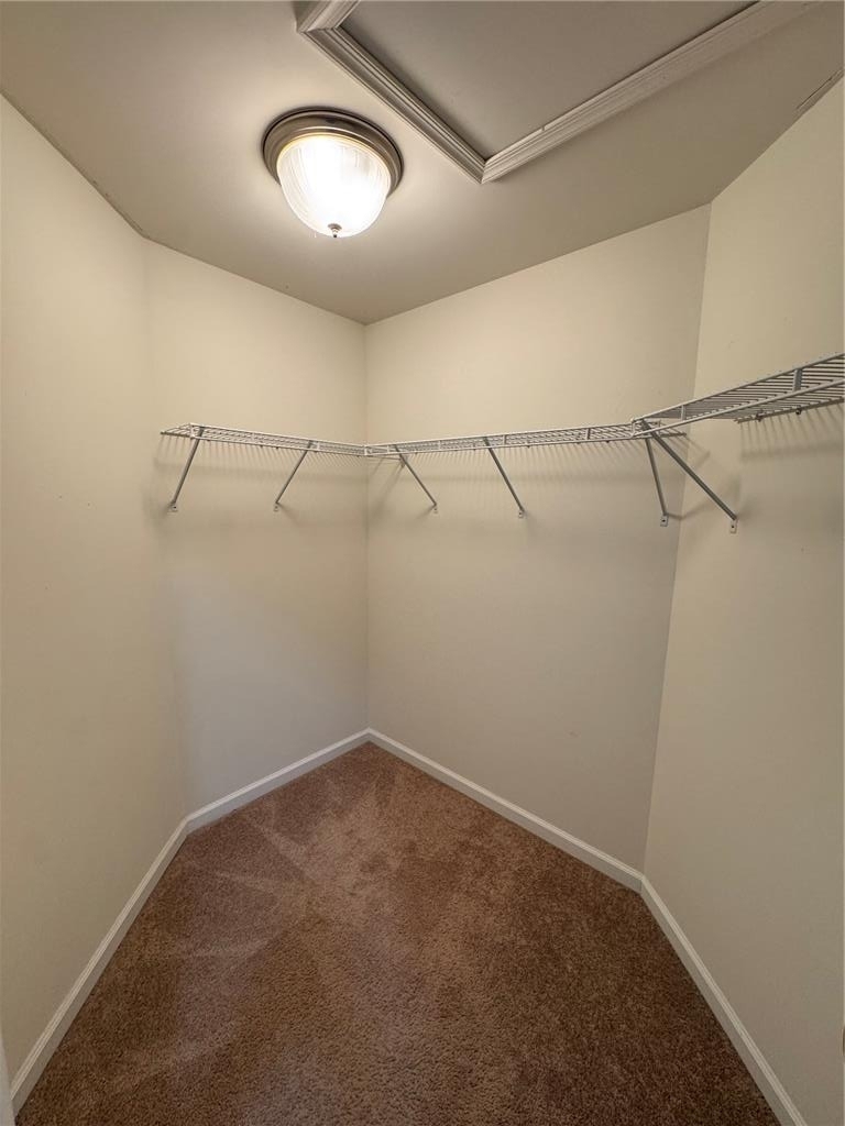 1419 Caspian Street - Photo 15