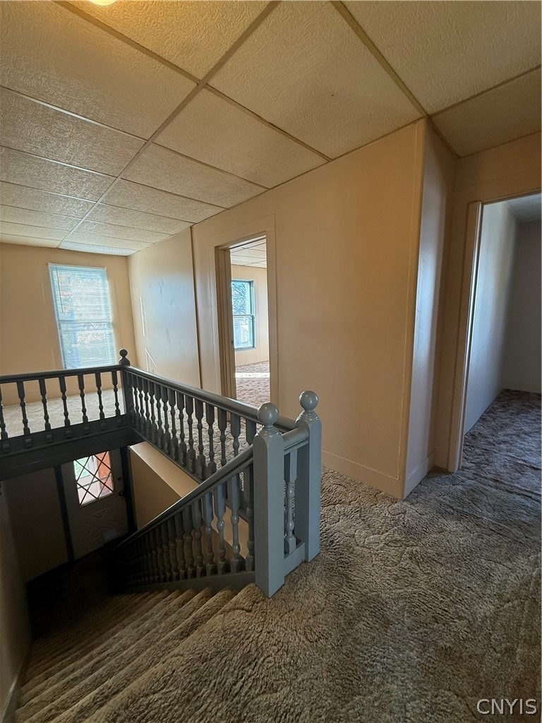 49 Elizabeth Street - Photo 2