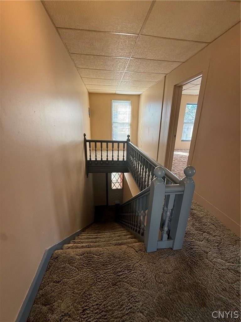 49 Elizabeth Street - Photo 1