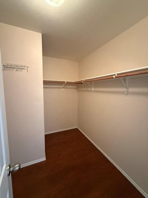 16909 Thorntree Court - Photo 18