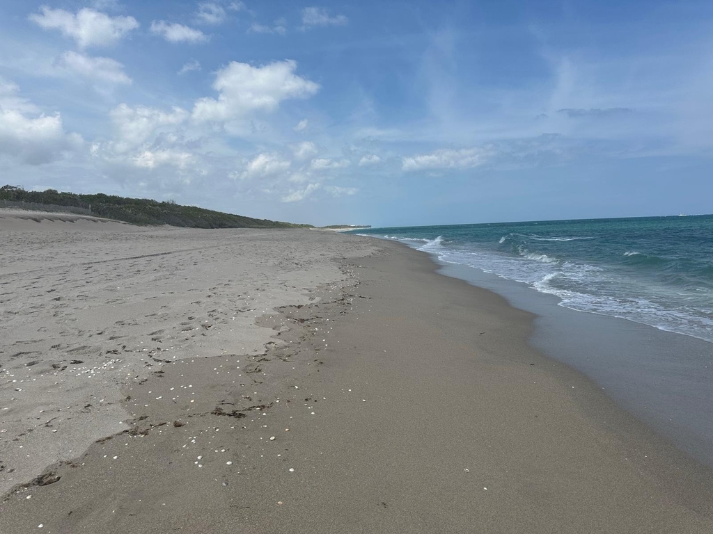 5420 N Ocean Drive - Photo 0