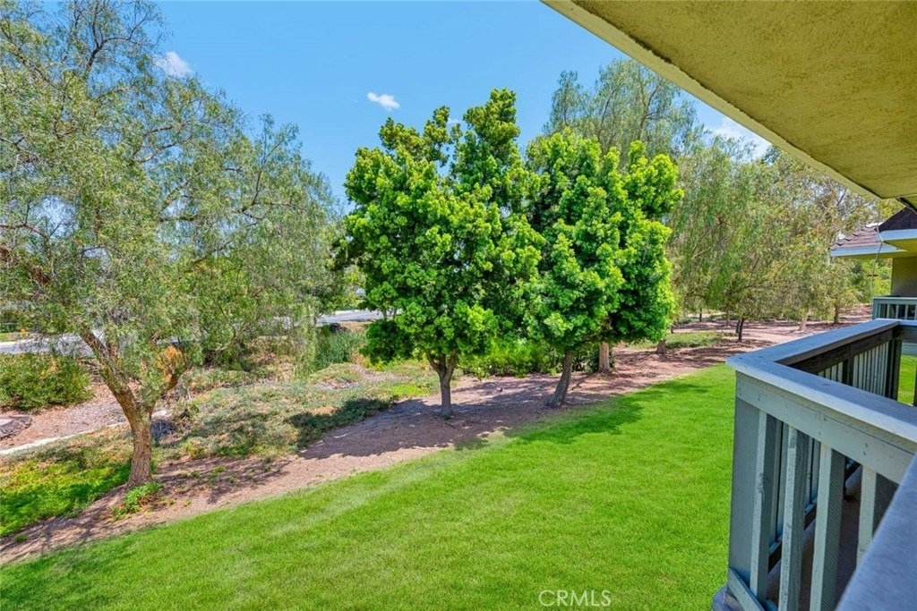 23432 Caminito Salado - Photo 14