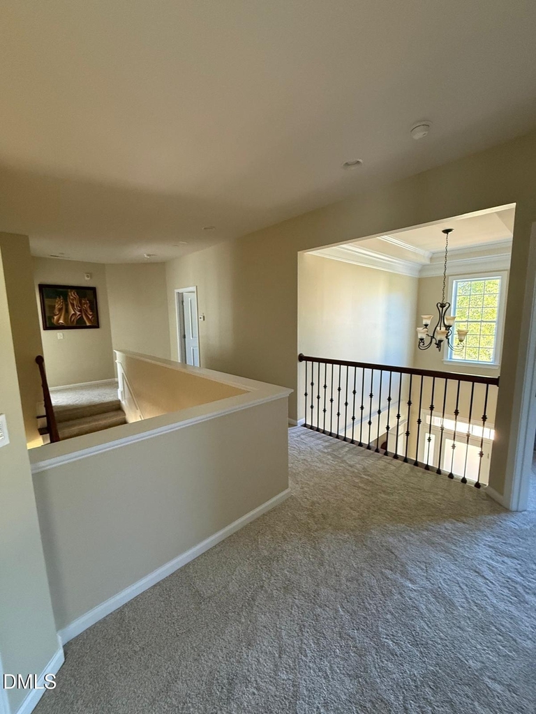 101 Stanza Court - Photo 39