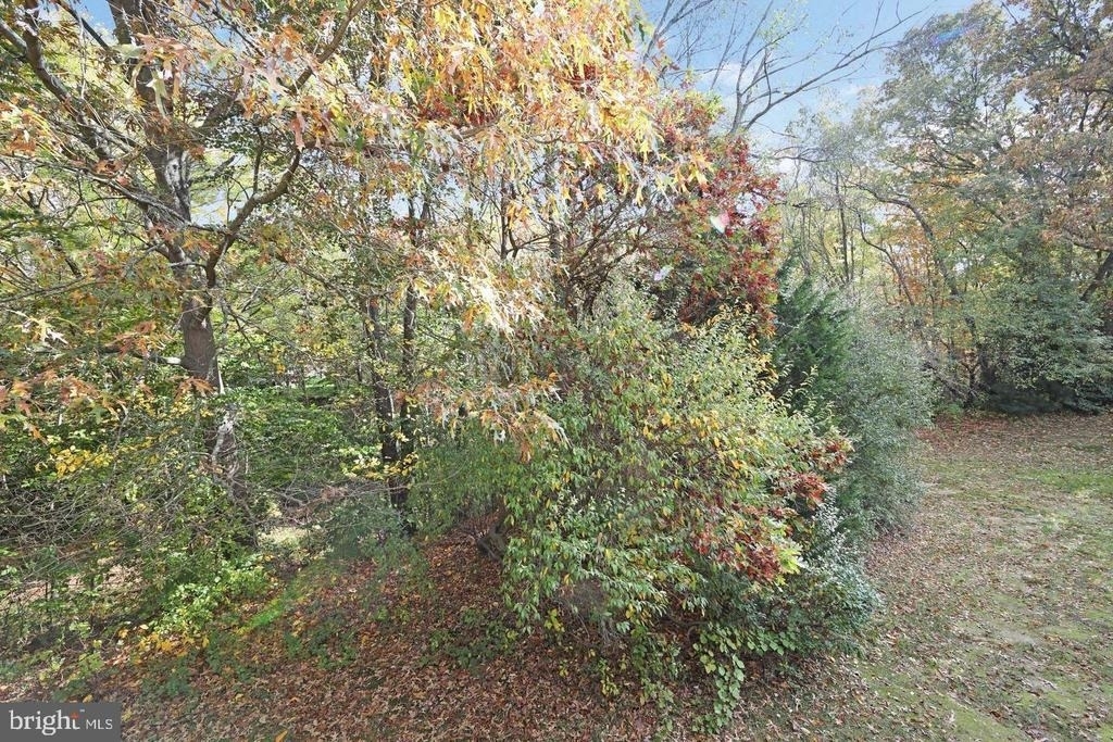 302 Allens Lane - Photo 36