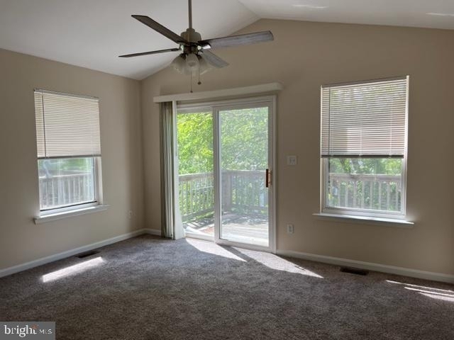 3813 7th Street - Photo 9