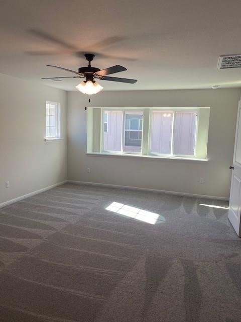 10104 Forest Grove Dr - Photo 12
