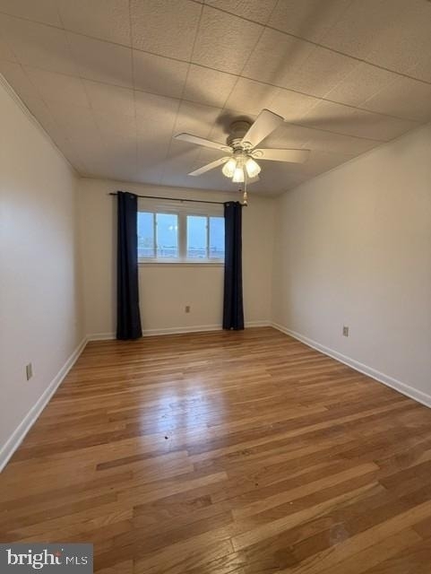 313 Pyramid Avenue - Photo 6