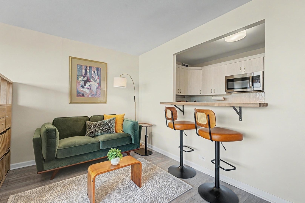 1700 E 56th Street - Photo 3