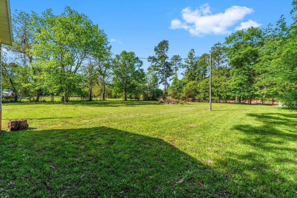 33107 Bear Branch Lane - Photo 12