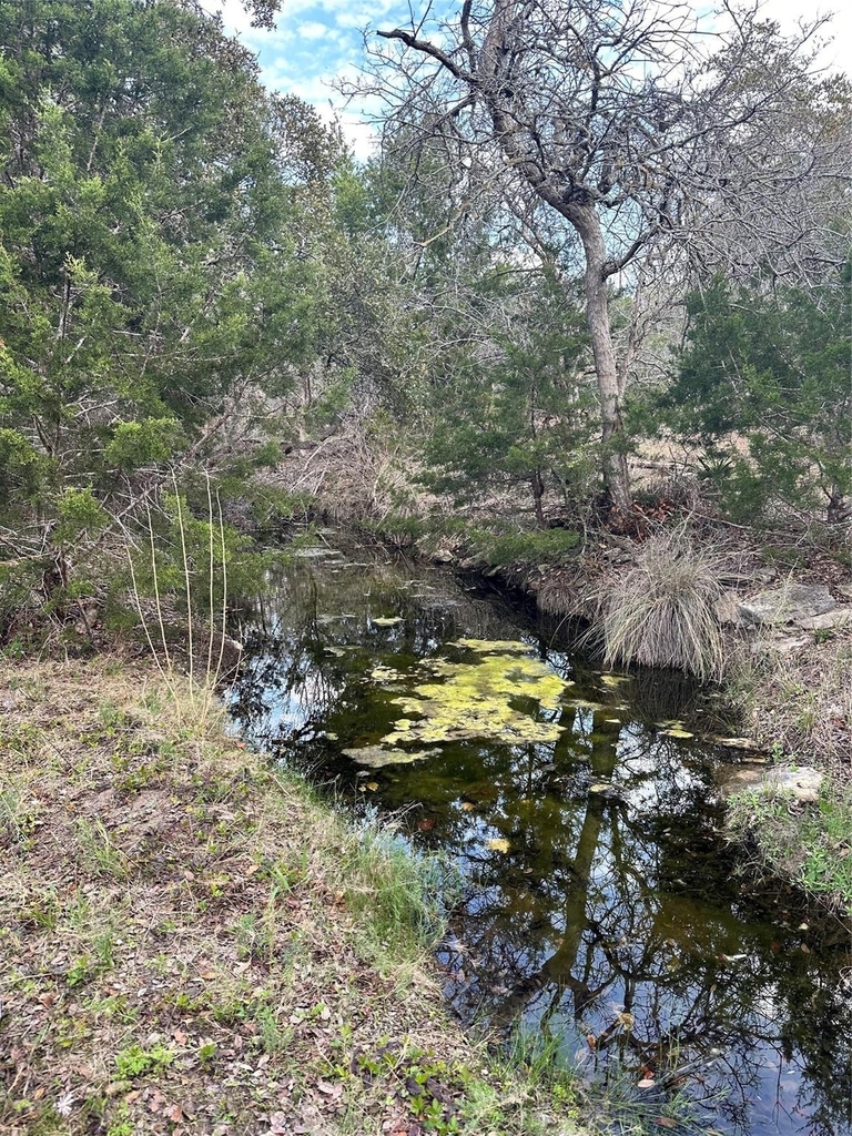 31425 Ranch Road 12 - Photo 23