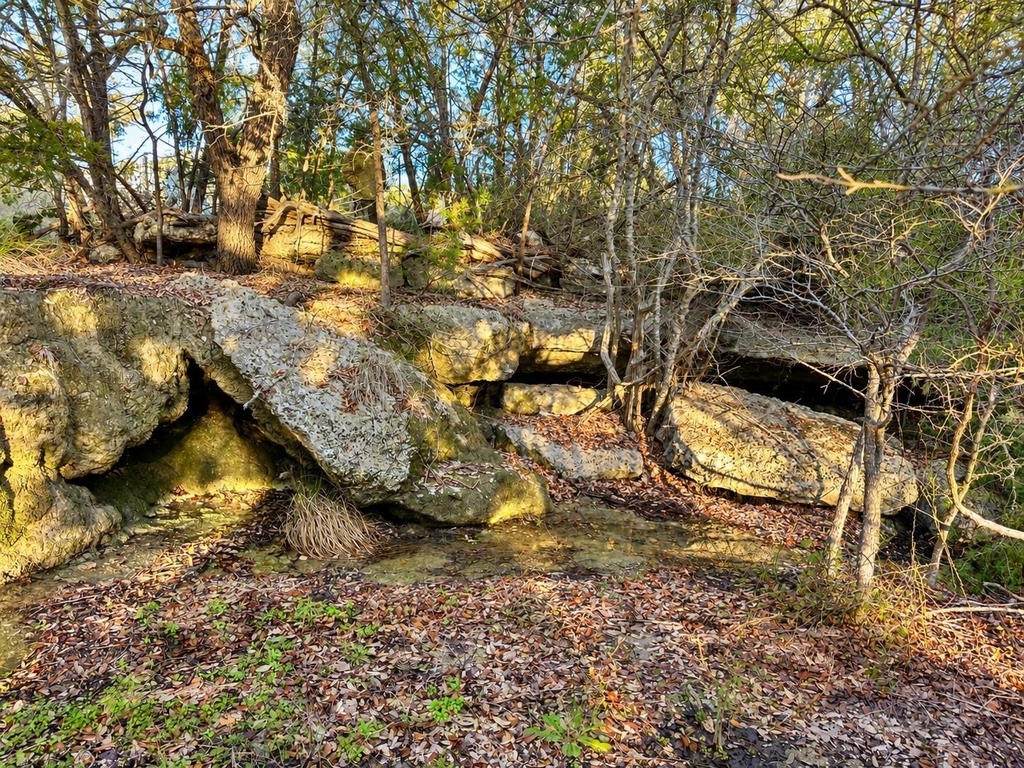 31425 Ranch Road 12 - Photo 26