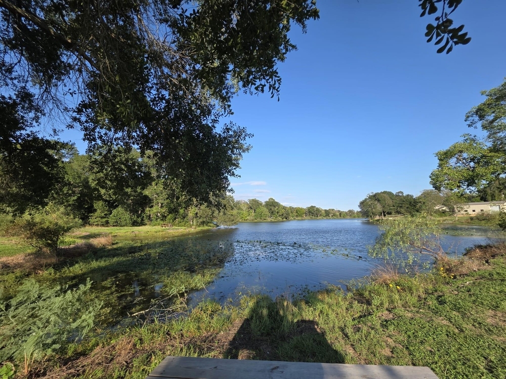 38894 West Drive - Photo 17