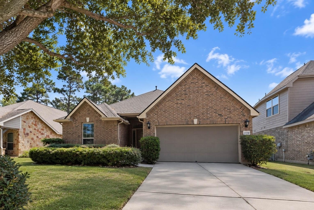 17230 Lowell Lake Lane - Photo 0