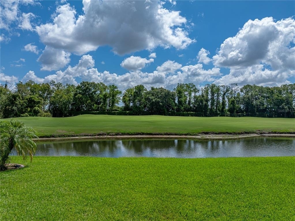 10306 Chatuge Drive - Photo 42