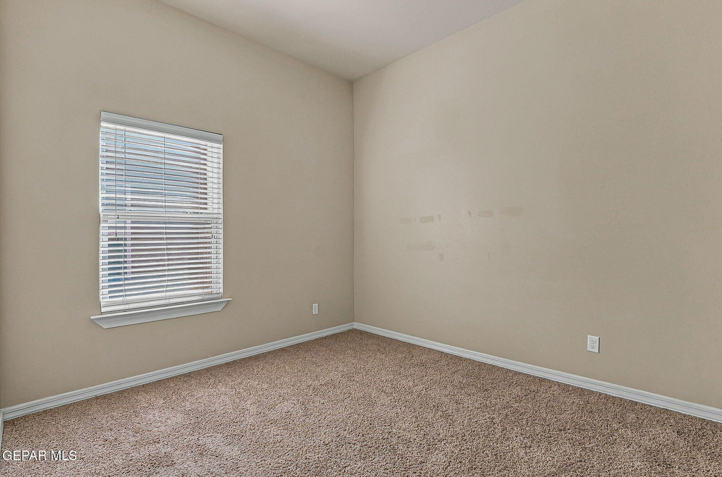 3622 Grand Bahamas Drive - Photo 6
