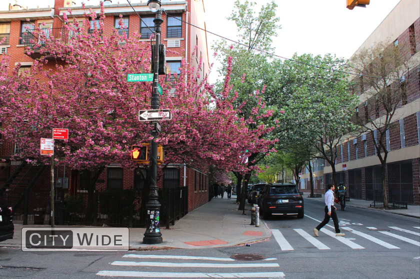 93 Clinton Street - Photo 5