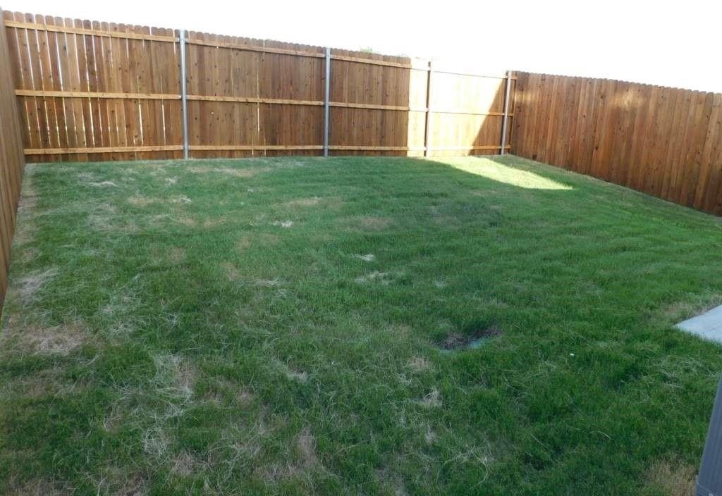 6226 Silver Maple Way - Photo 10