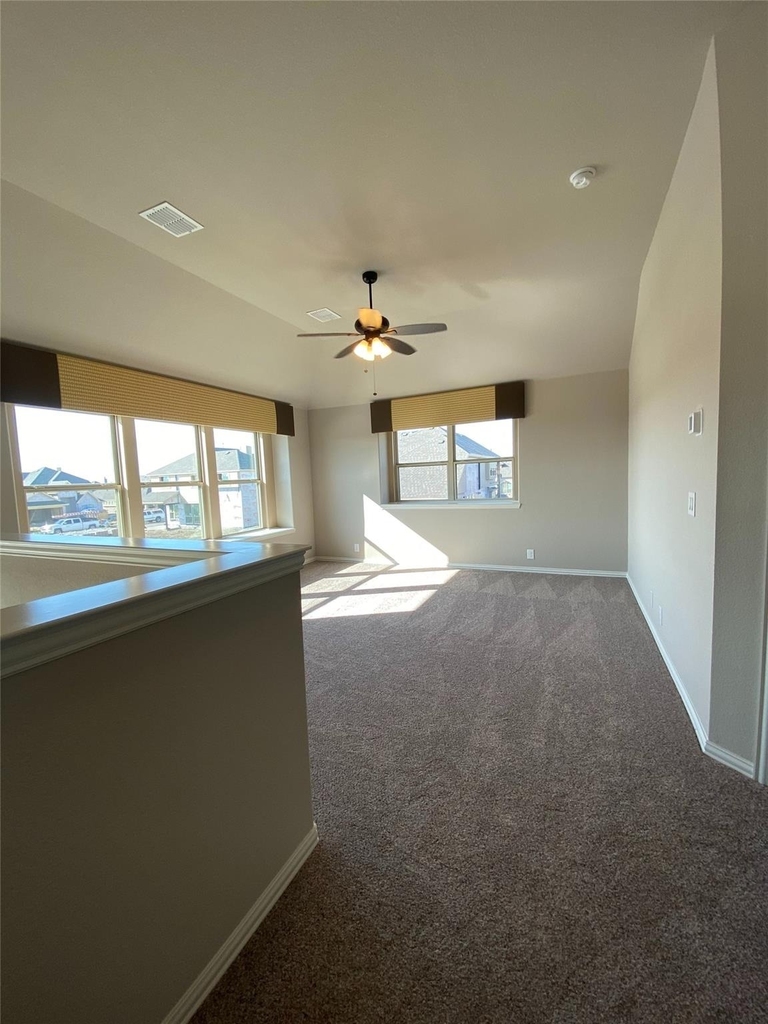 313 Richard Street - Photo 11