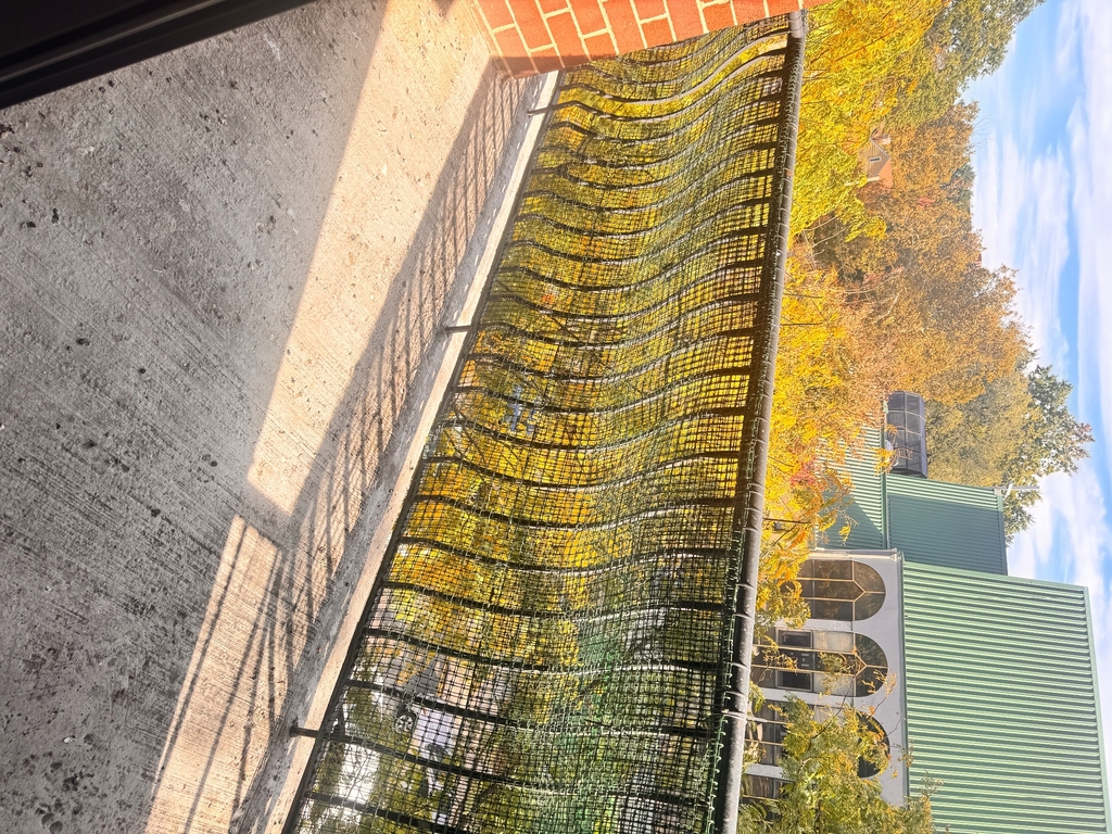 32-08 Union Street Flushing NY 11354 - Photo 15