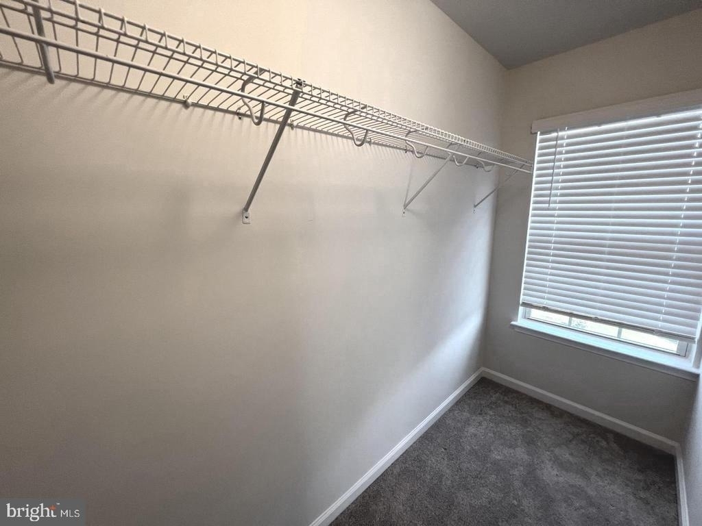 7801 Rosella Lane - Photo 13