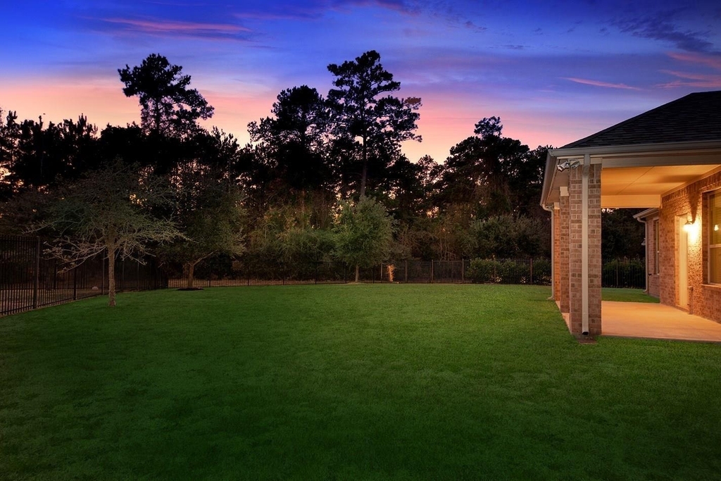 43 Butternut Grove Place - Photo 3
