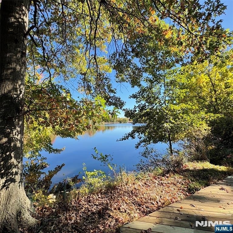49 White Pond - Photo 5