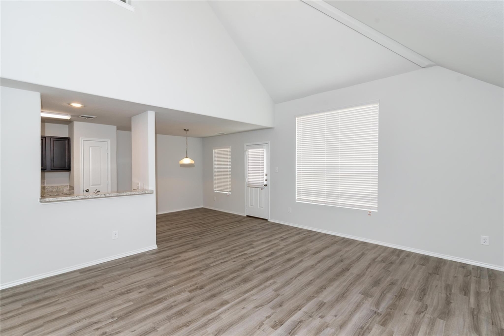 24447 Dolce Marina Court - Photo 2