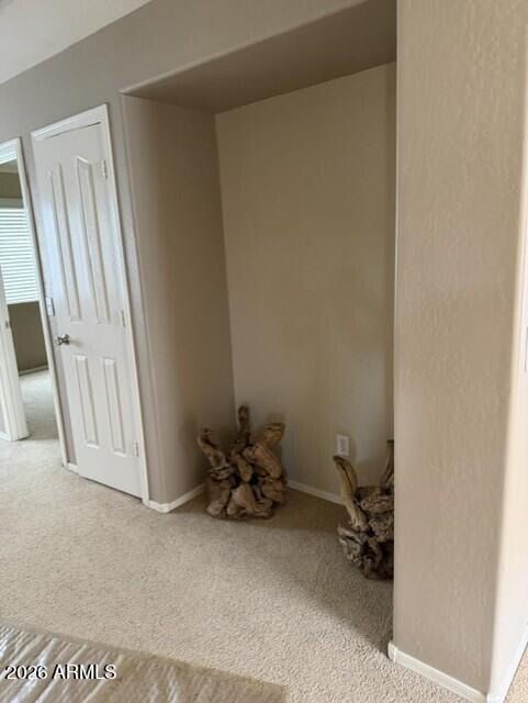 30 E Zinnia Place - Photo 13