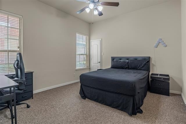 8712 Iron Horse Drive - Photo 9