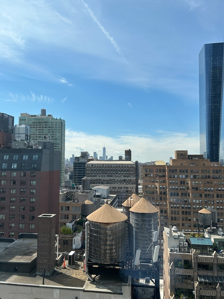 West 37th Street - Photo 6