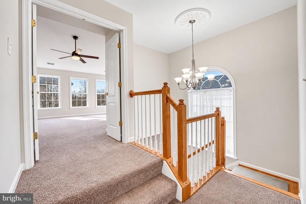 21943 Windover Drive - Photo 15