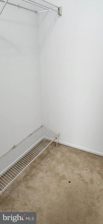 316 Lexington Drive - Photo 5