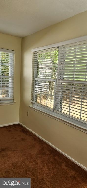 316 Lexington Drive - Photo 11