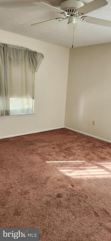 316 Lexington Drive - Photo 4