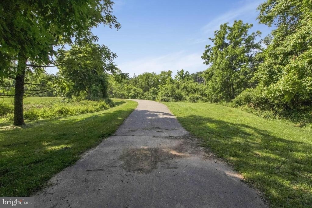 548 Winding Rose Drive - Photo 39