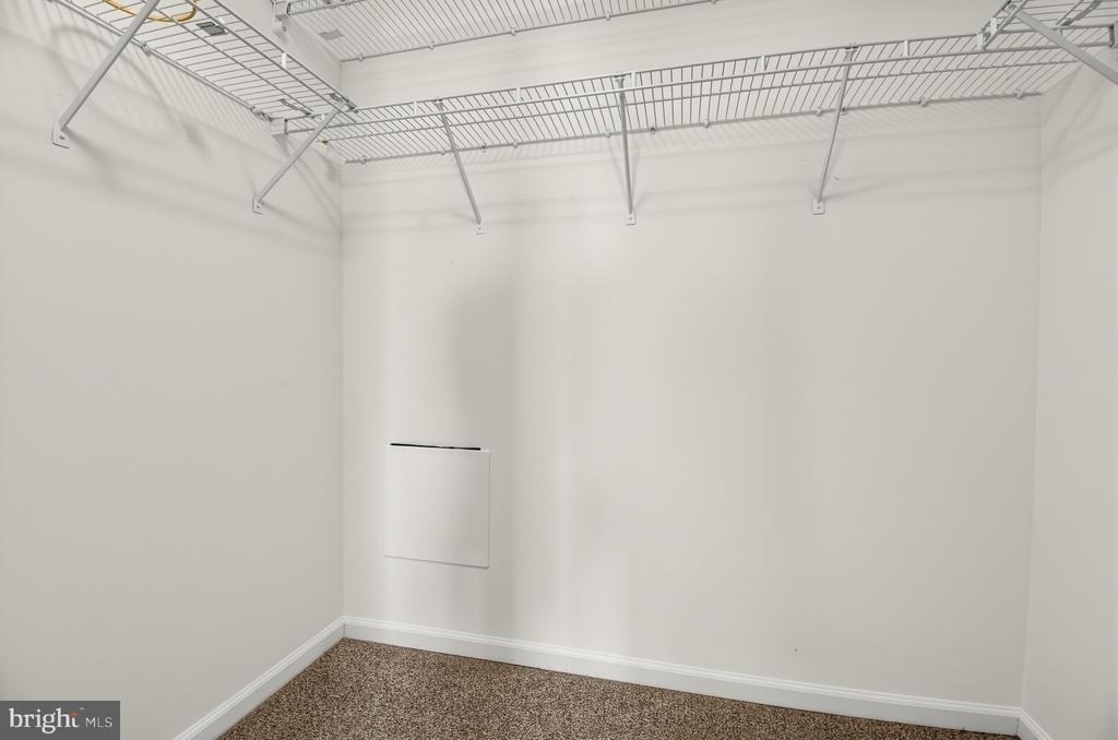 3020 Button Bush Lane - Photo 23