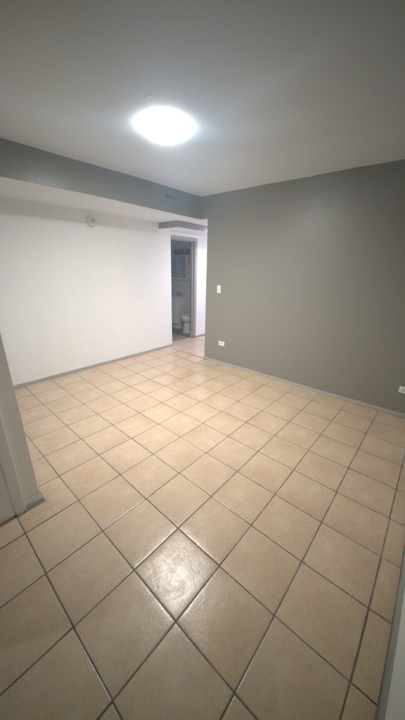 603 E 60th Street - Photo 9