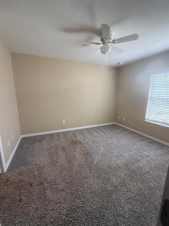 302 Belvedere Way - Photo 9