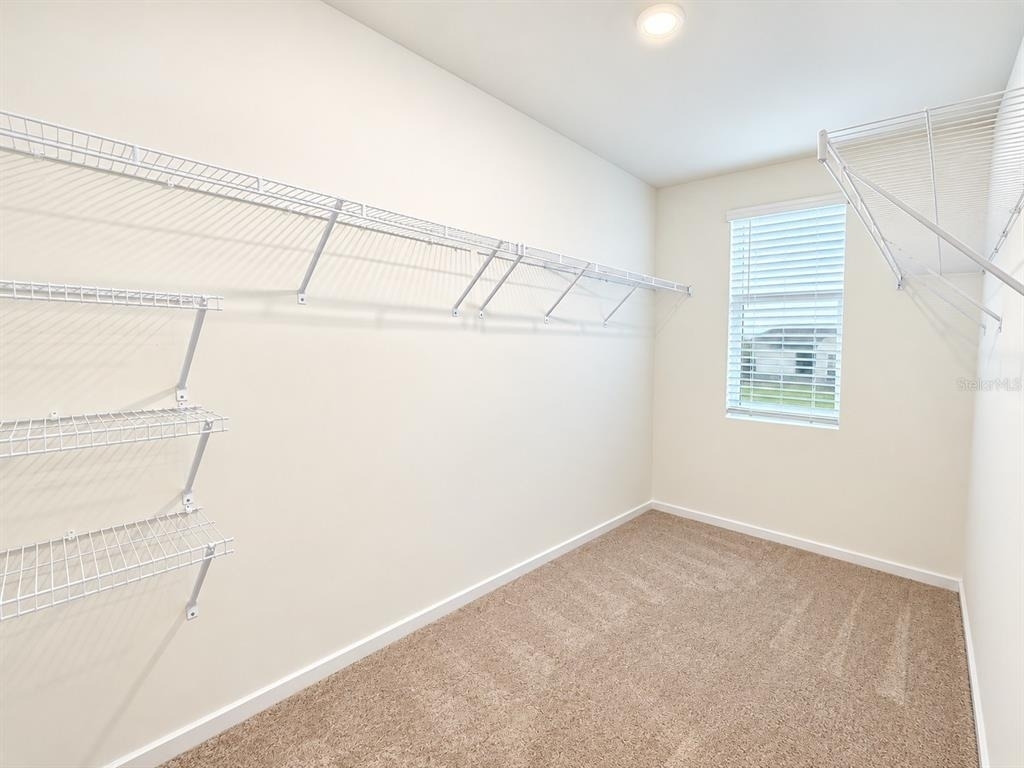 7337 Rainbow Bay Place - Photo 8