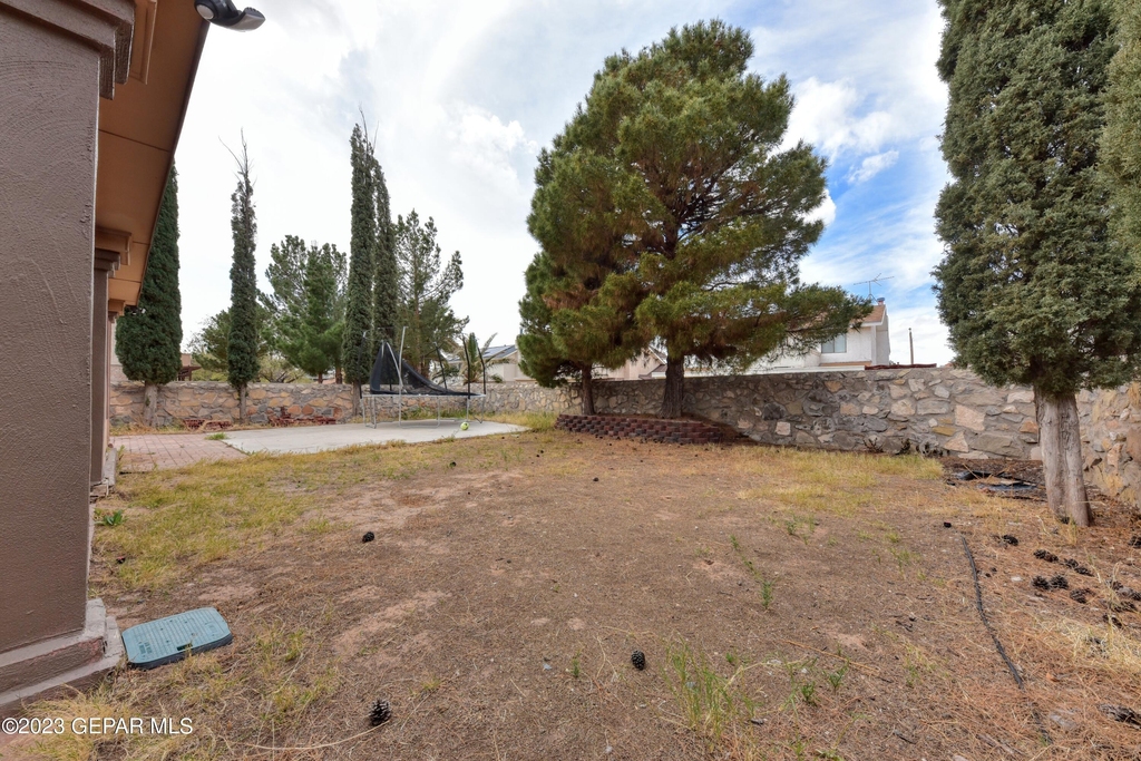 3009 Lake Spier Drive - Photo 42