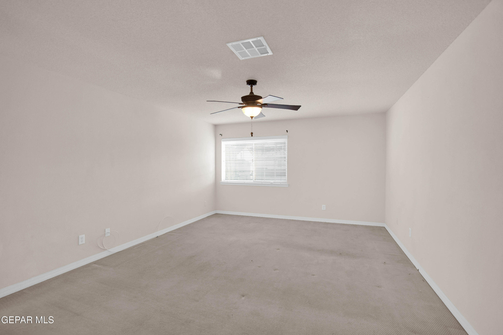 7113 Century Plant Drive - Photo 3