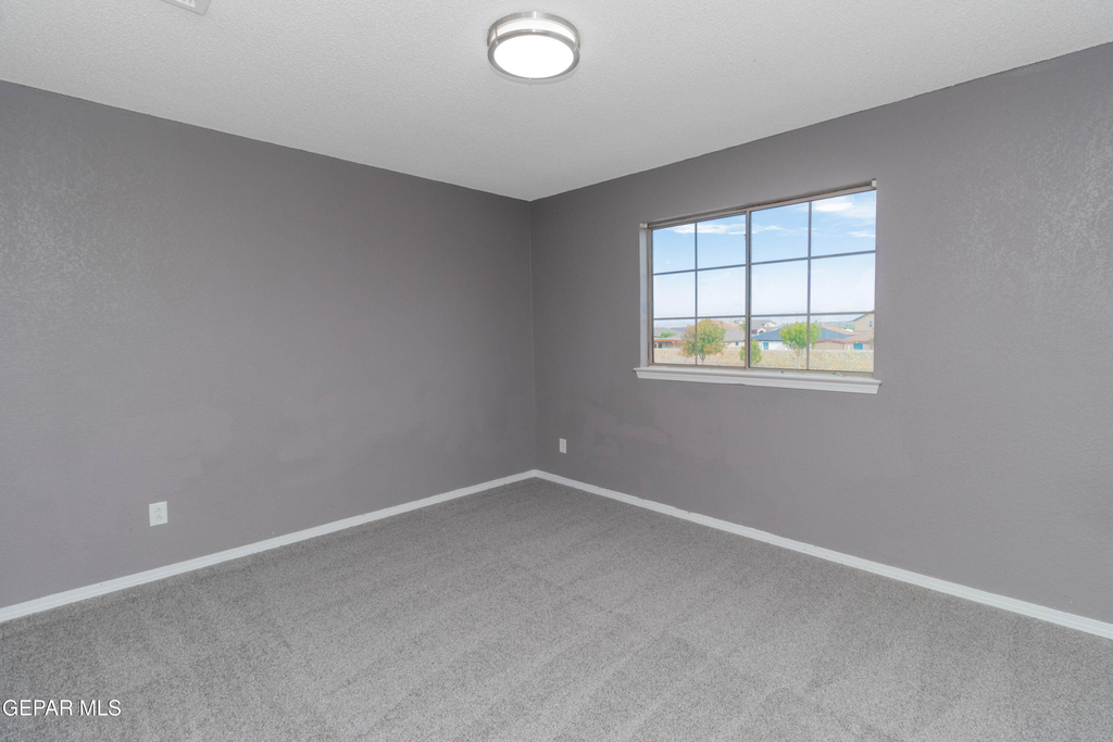 11612 Mesquite Miel Drive - Photo 30